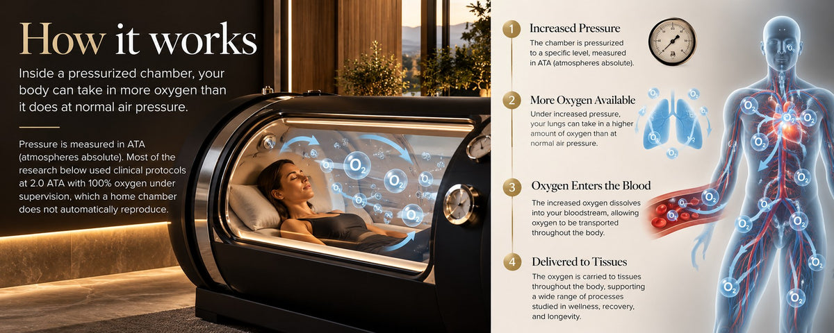 How hyperbaric chambers work: increased pressure, more oxygen available, oxygen enters the blood and is delivered to tissues.
